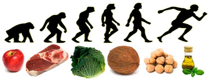 Evolución con dieta paleo